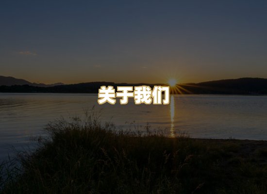 关于我们
